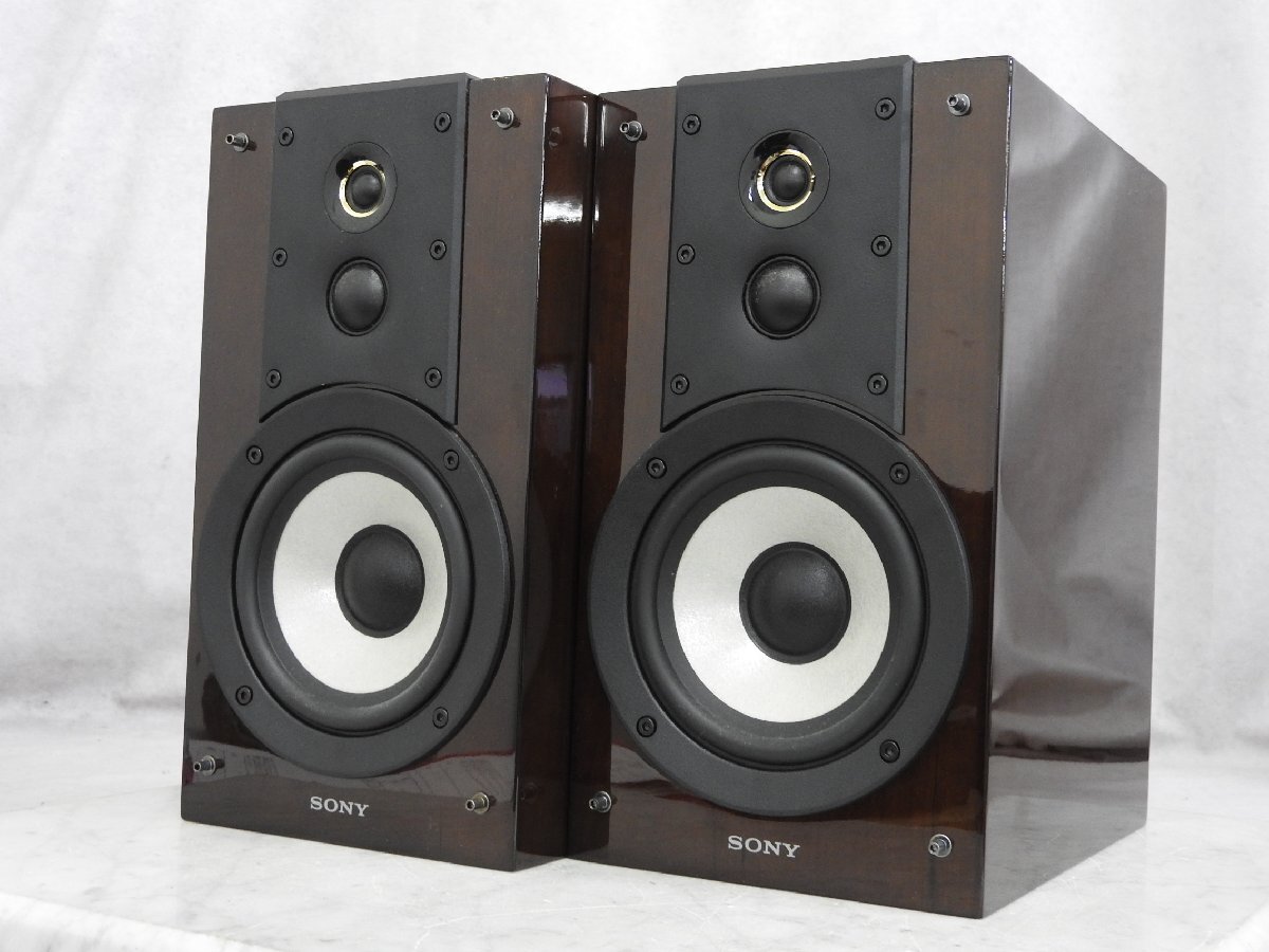 SONY SS-HW1