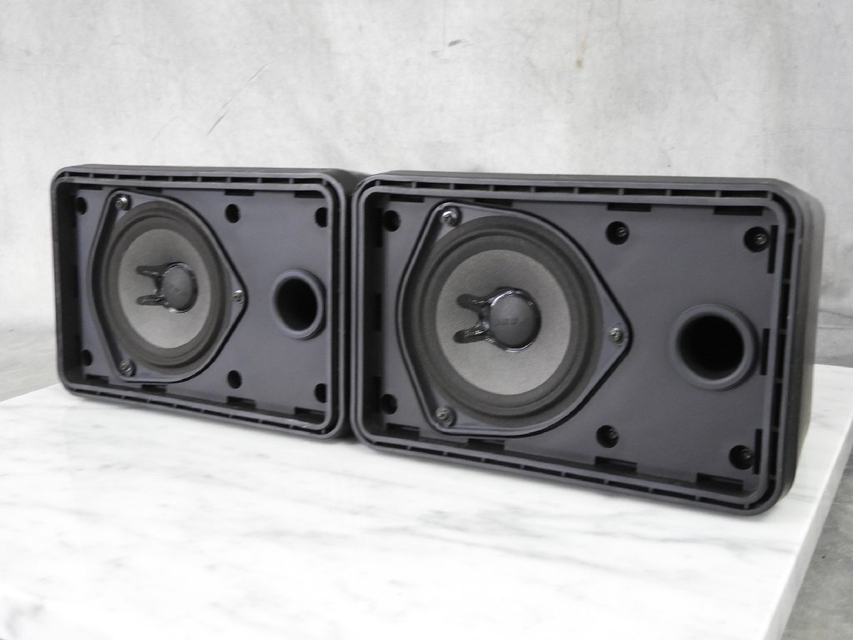 BOSE 101MM